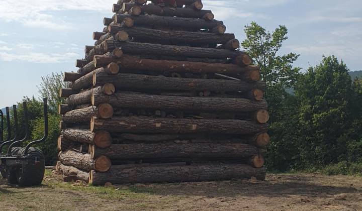 Vatra 2023