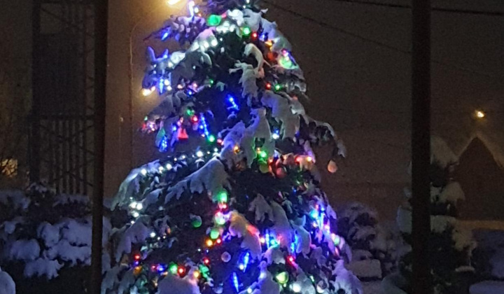 Vianočné trhy 1.12.2023